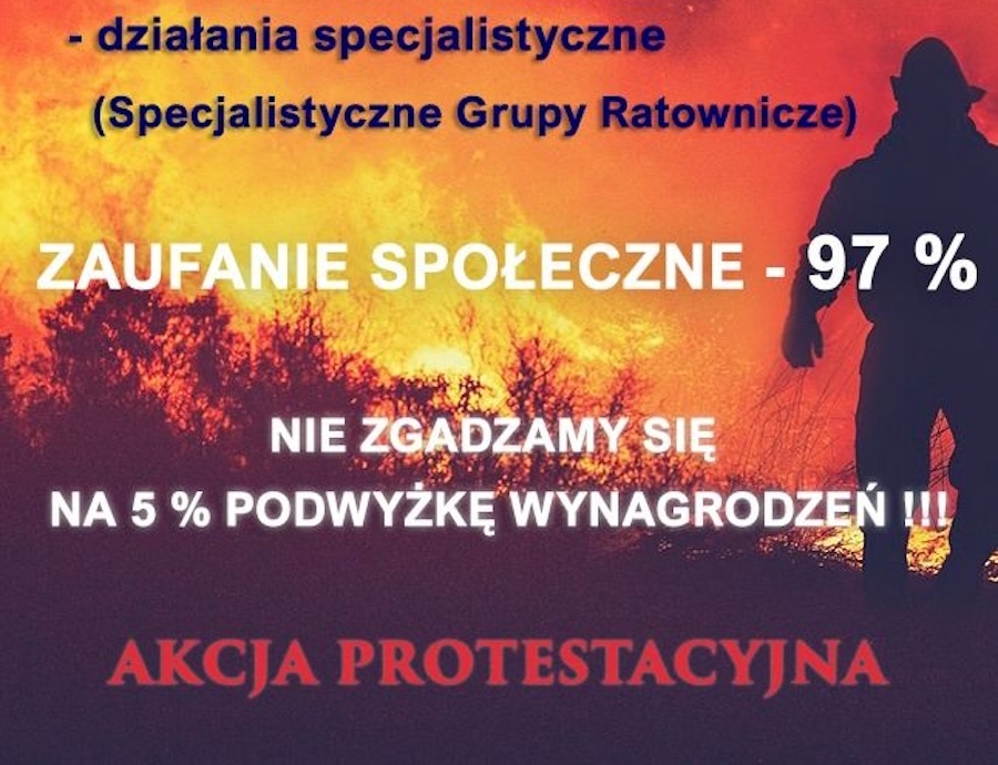  06 - 01 - 2025 -ZAKRES DZIAŁAŃ STRAŻAKA PAŃSTWOWEJ STRAŻY POŻARNEJ (...)