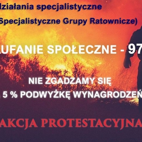  06 - 01 - 2025 -ZAKRES DZIAŁAŃ STRAŻAKA PAŃSTWOWEJ STRAŻY POŻARNEJ (...)